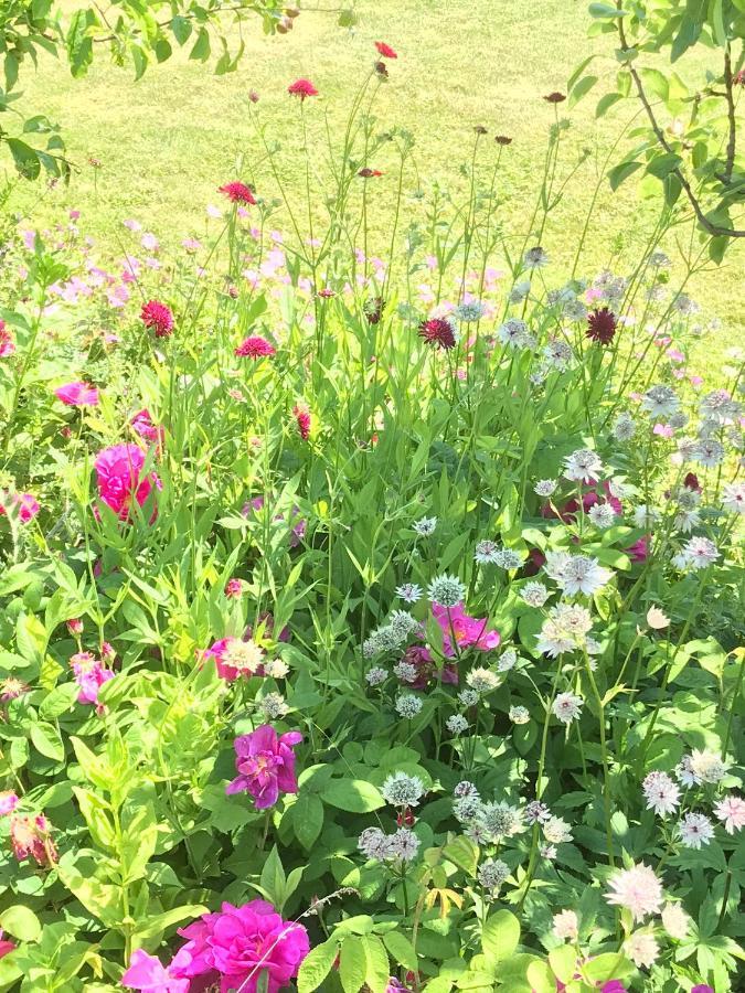 Beryl Country House 웰스 외부 사진